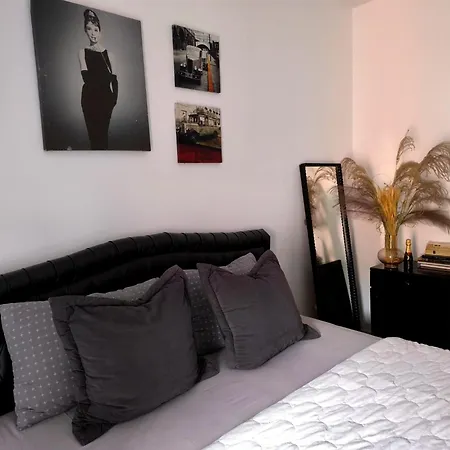 Book Apartment Vrsac